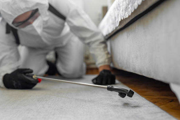Professional Bed Bug Control technician working in Pocahontas, IA