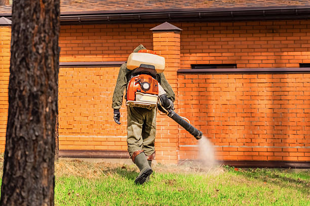 Trusted Emergency Pest Control service in Pocahontas, IA - Nex Pest Control